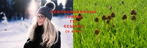 мяу мяу мука Балахна