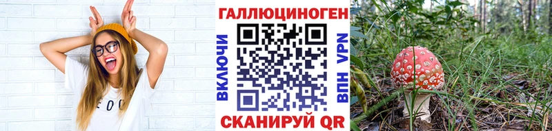 Галлюциногенные грибы Psilocybe  как найти наркотики  Шагонар 